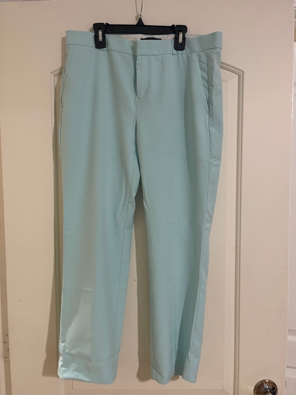 Banana Republic Women's Mint Cropped Dress Pants